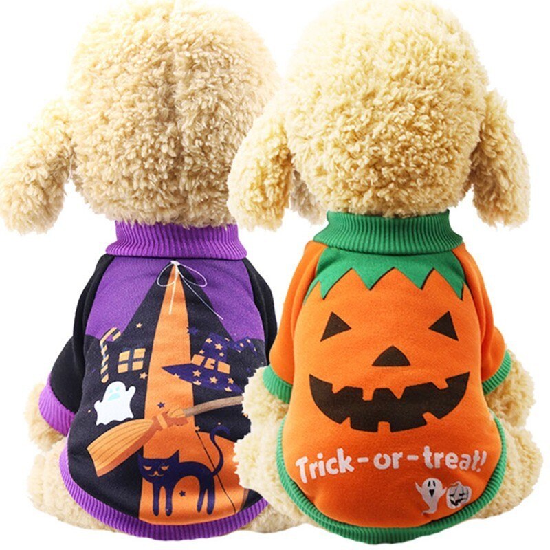 Halloween Dog Costume