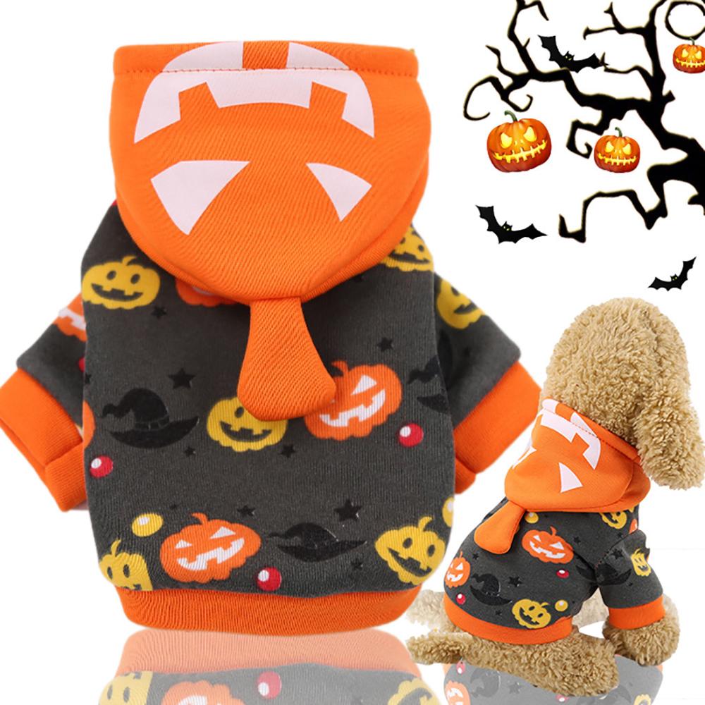 Halloween Dog Costume