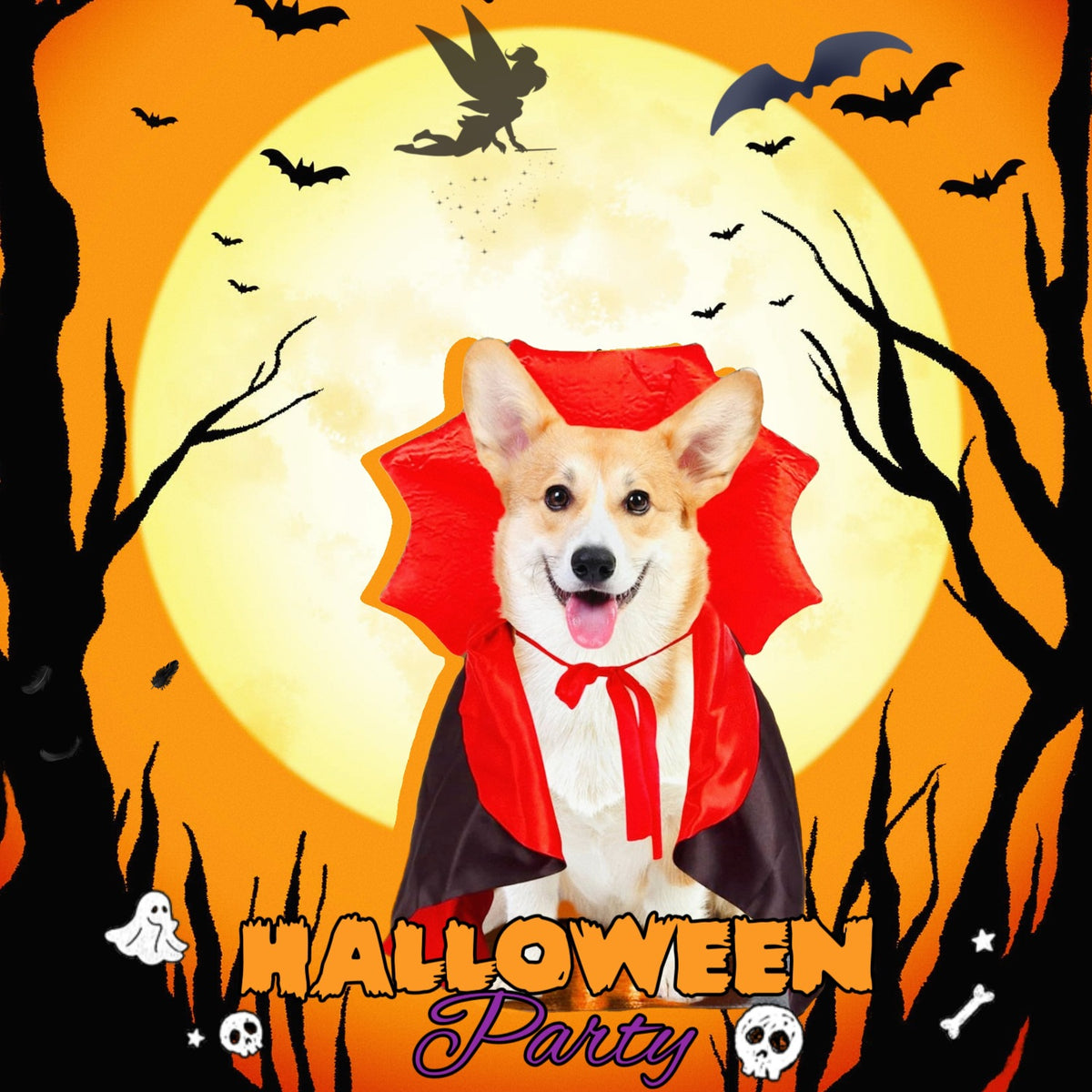 Halloween Bat Cloak Costume for Cats & Dogs