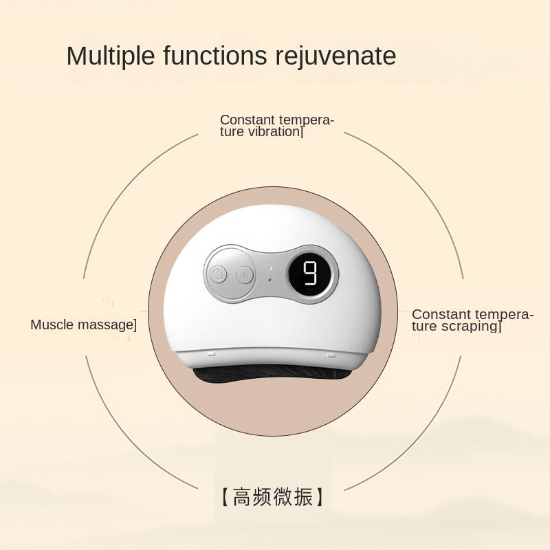 Facial Gua Sha Beauty Device & Massage Brush